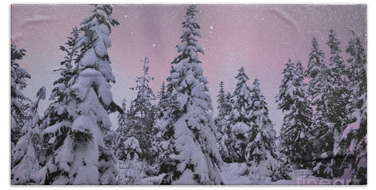 Landscape Beach Sheet featuring the photograph Winter Beauty by Sheila Ping