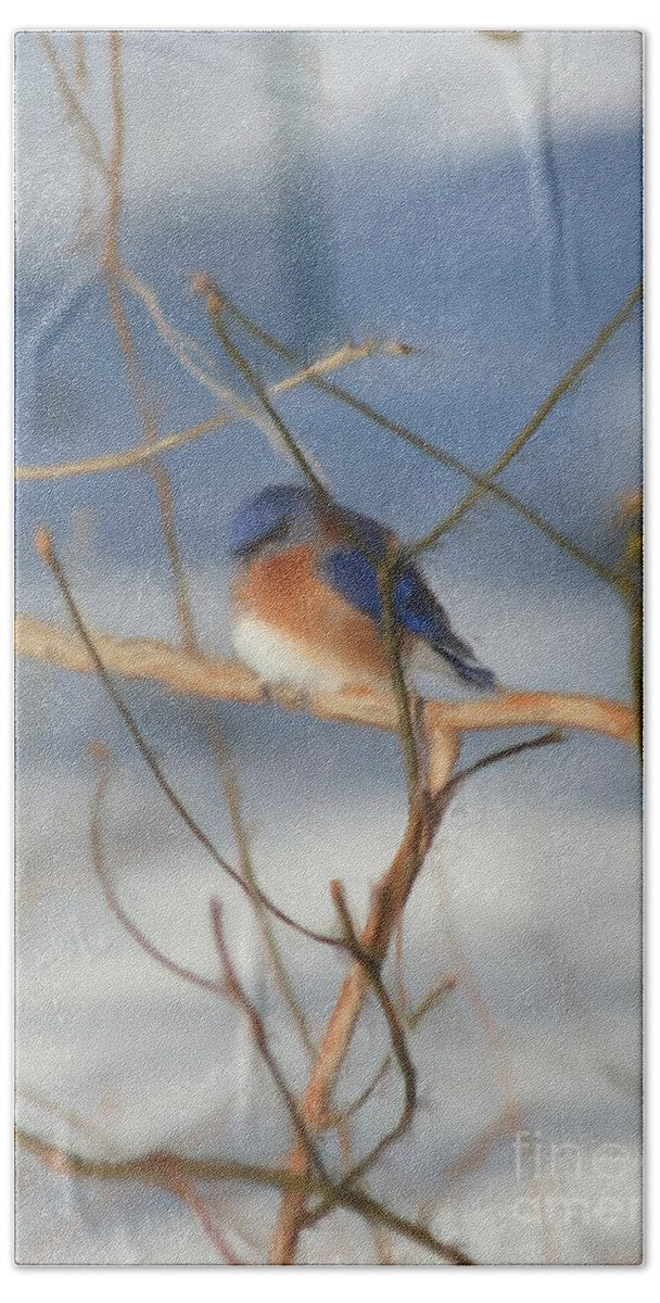 Bluebird Beach Towel featuring the painting Winter Bluebird Nature Art by Smilin Eyes Treasures