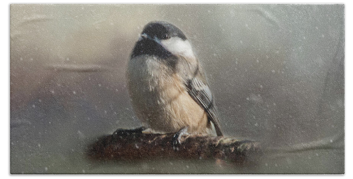 Song Bird Beach Towel featuring the photograph Winter Chicadee by Cathy Kovarik