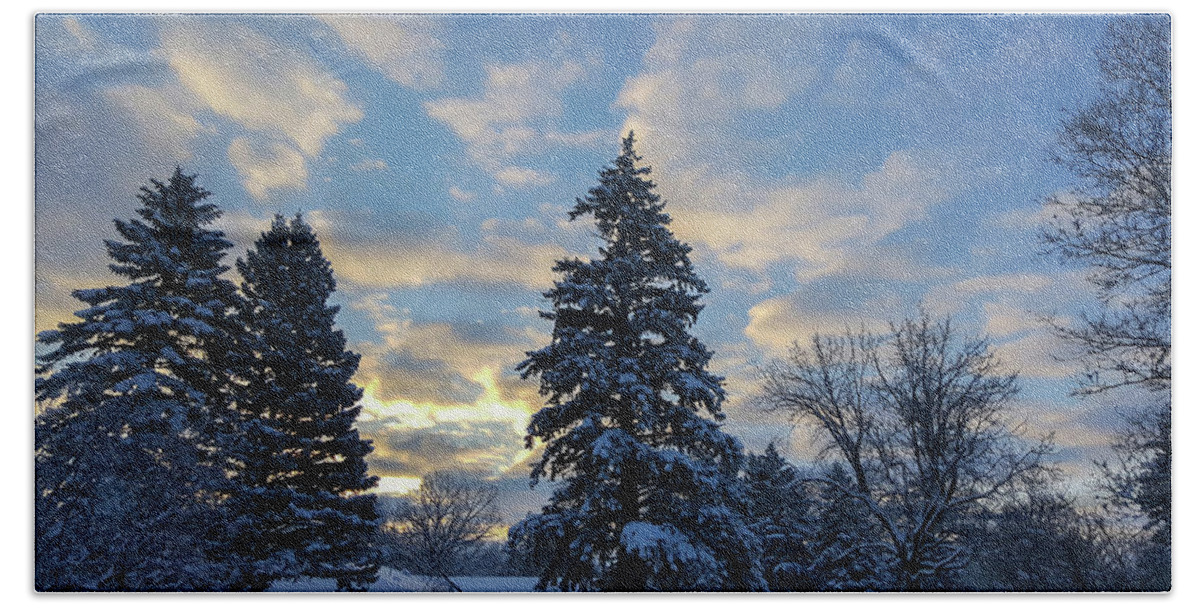 Dawn Beach Towel featuring the photograph Winter Dawn Over Spruce Trees by Lynn Hansen