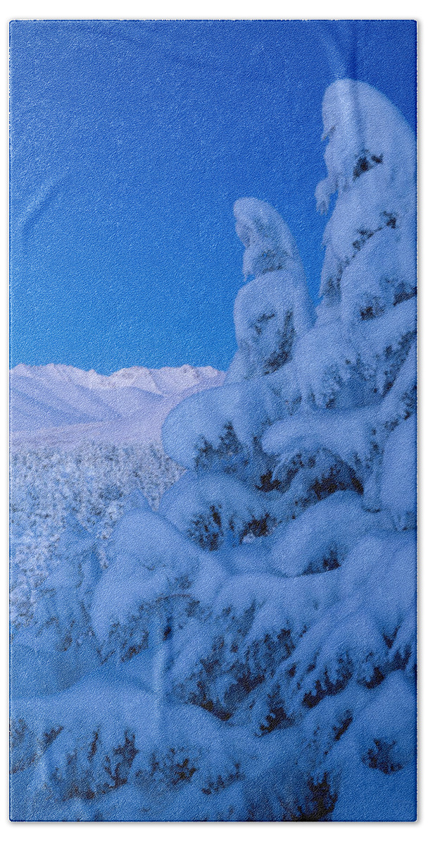 Alaska Beach Towel featuring the photograph Winter Deep by Tim Newton