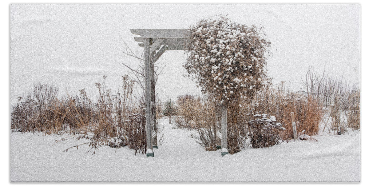 Natural Forms Beach Towel featuring the photograph Winter Garden by Rikk Flohr