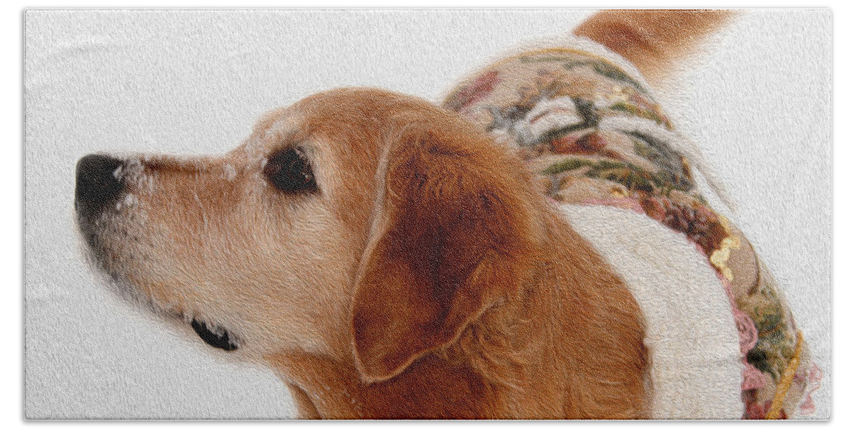 Bonnie Follett Beach Towel featuring the photograph Winter Girl painted portrait by Bonnie Follett