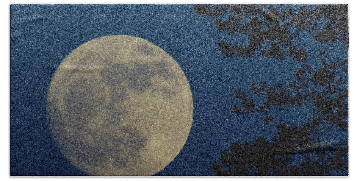 Moon Beach Sheet featuring the photograph Winter Moon by Randy Hall