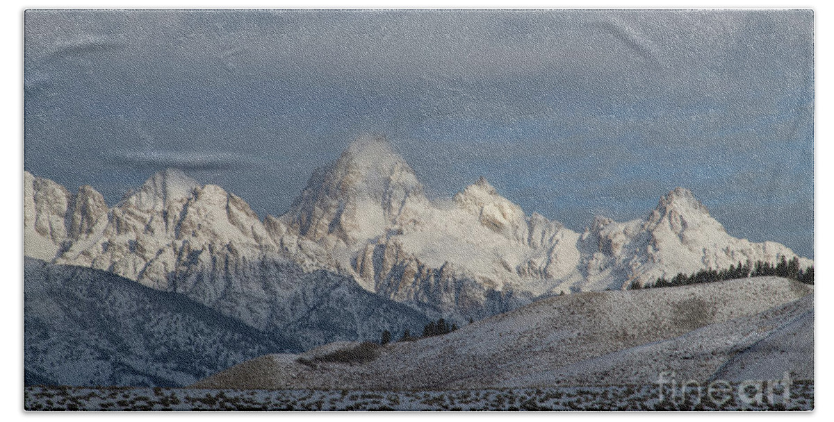 Landscape Beach Towel featuring the photograph Winter Morning - Grand Teton National Park by Sandra Bronstein