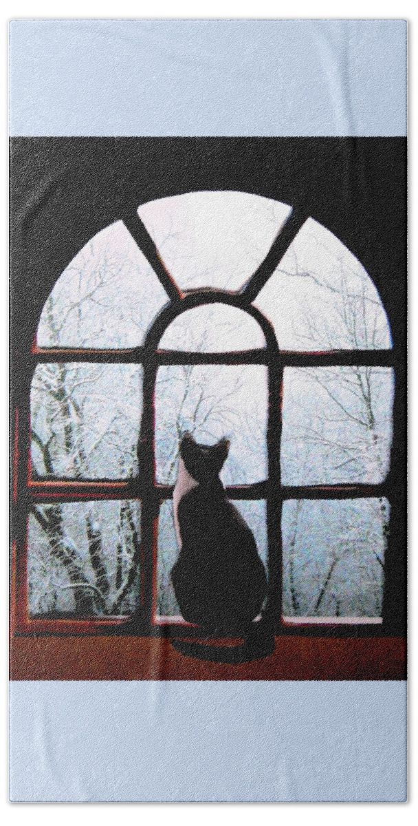 Cats In Windows Beach Sheet featuring the photograph Winter Musing by Angela Davies