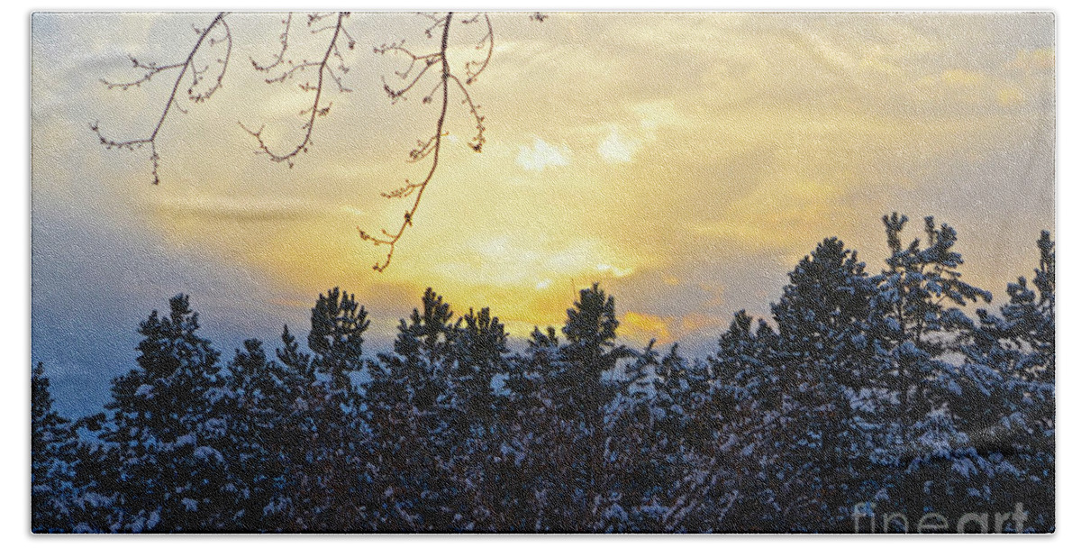 Winter Sunset Beach Sheet featuring the photograph Winter Sunset on the Tree Farm #1 by Cindy Schneider