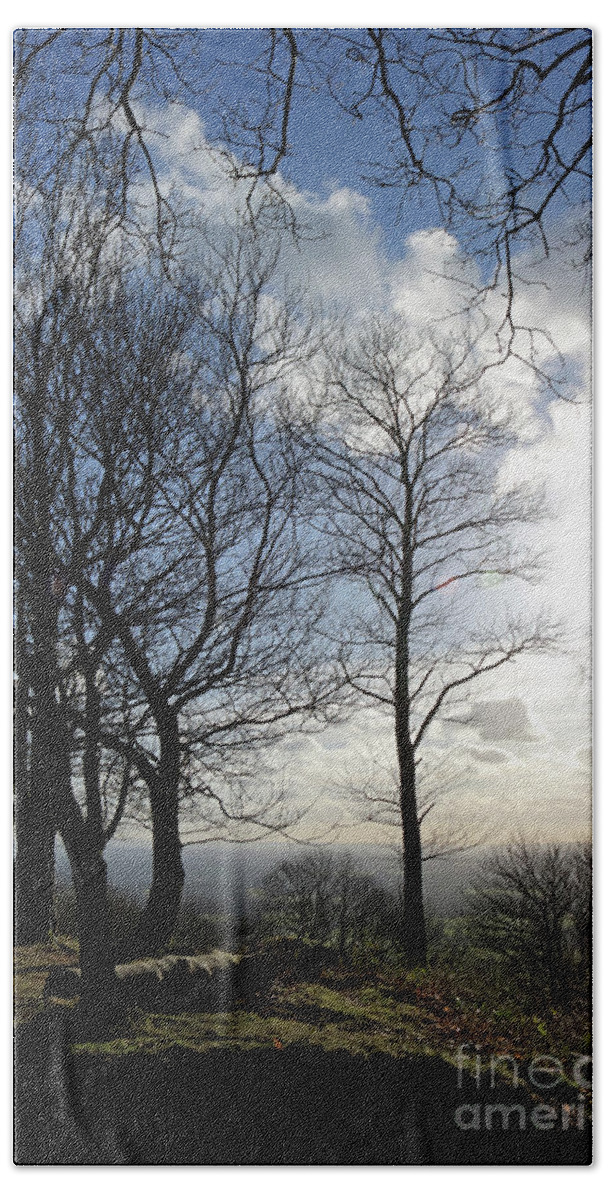 The Winter Sunshine Viewpoint On Holmbury Hill With The Surrey Countryside Beyond English British Hills Trees Beach Towel featuring the photograph Winter Sunshine in Surrey Hills by Julia Gavin