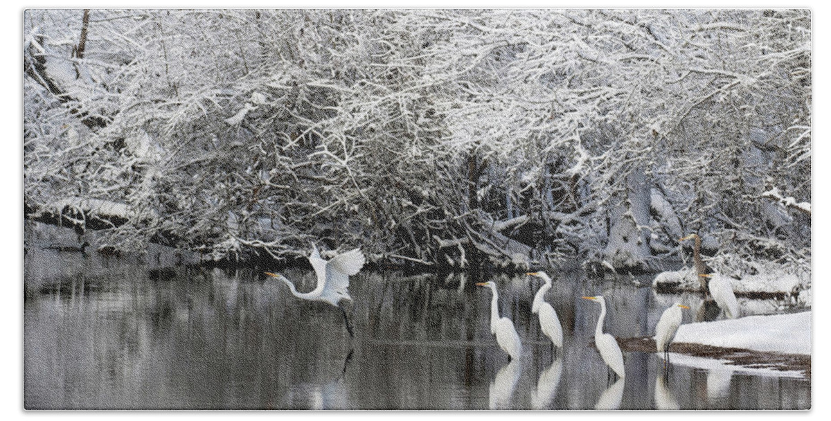 Snow Beach Sheet featuring the photograph Winter Wonderland by Eilish Palmer