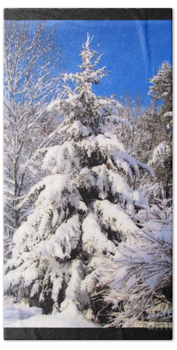 Snow Beach Towel featuring the photograph Winter Wonderland by Elizabeth Dow