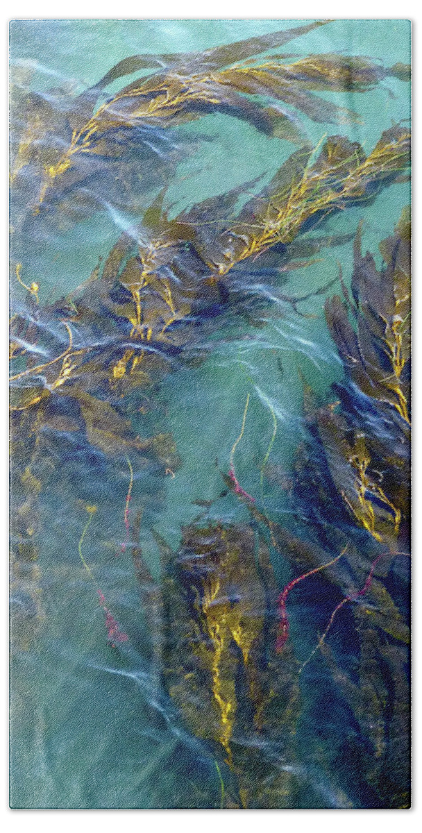 Abstracts Beach Sheet featuring the photograph With The Flow by Amelia Racca