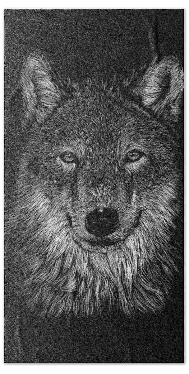 Wolf Beach Towel featuring the drawing Wolf by Isabel salvador by Isabel Salvador