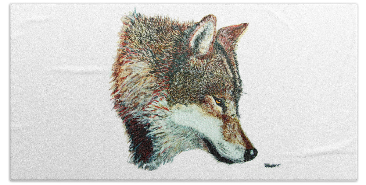 Wolf Beach Towel featuring the painting Wolf Study by Kevin Scott Jacobs