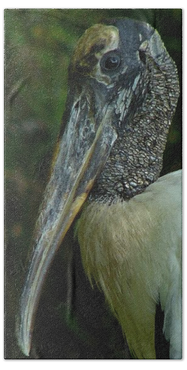 Bird Beach Towel featuring the photograph Wood Stork portrait by Carl Moore