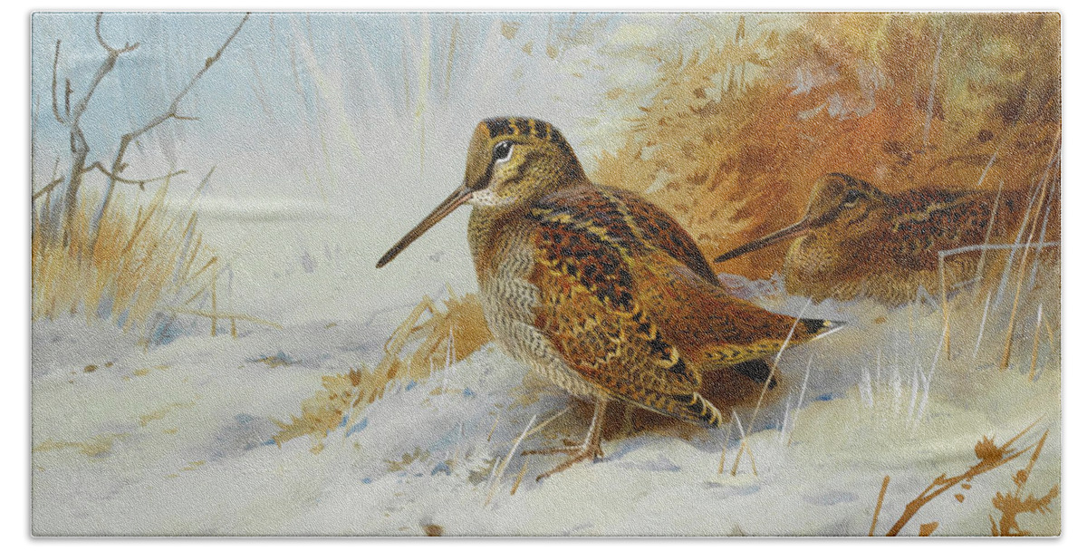 Woodcock Beach Towel featuring the mixed media Woodcock In Winter by Thorburn by Movie Poster Prints