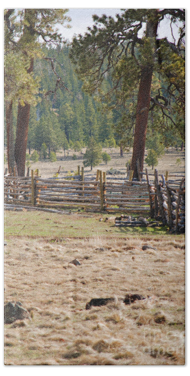 Fine Art Beach Towel featuring the photograph Woodland Corral - White Mountains Arizona by Donna Greene