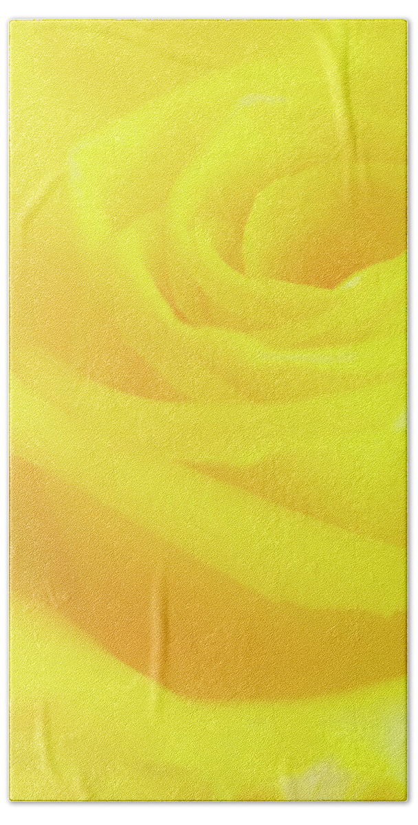 Yellow Beach Towel featuring the photograph Yello Rose by Andy Myatt