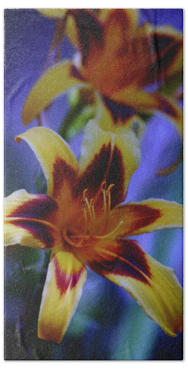 Yellow Beach Towel featuring the photograph Yellow and Orange and Garnet Daylilies 1270 H_2 by Steven Ward