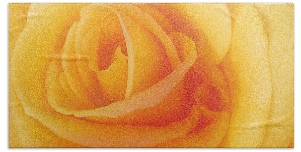 Flower Beach Sheet featuring the photograph Yellow Blend by Michael Peychich
