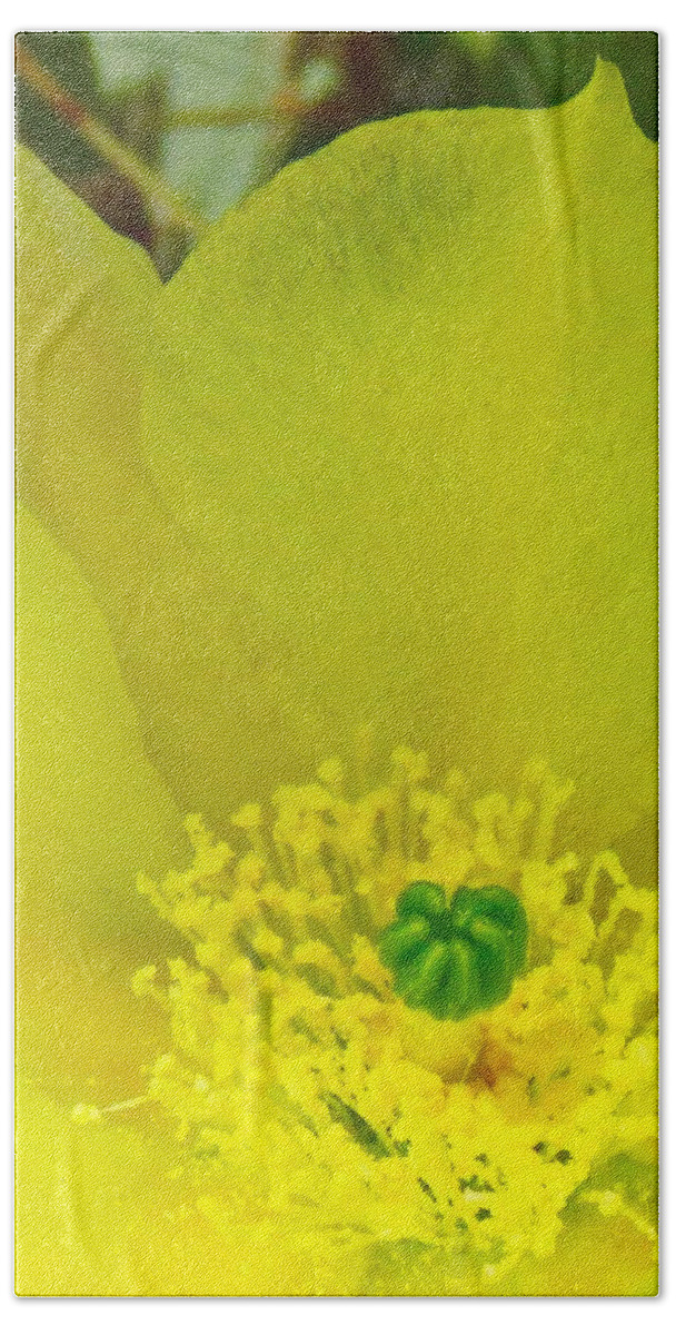  Arizona Beach Towel featuring the photograph Yellow Bloom 1 - Prickly Pear Cactus by Judy Kennedy