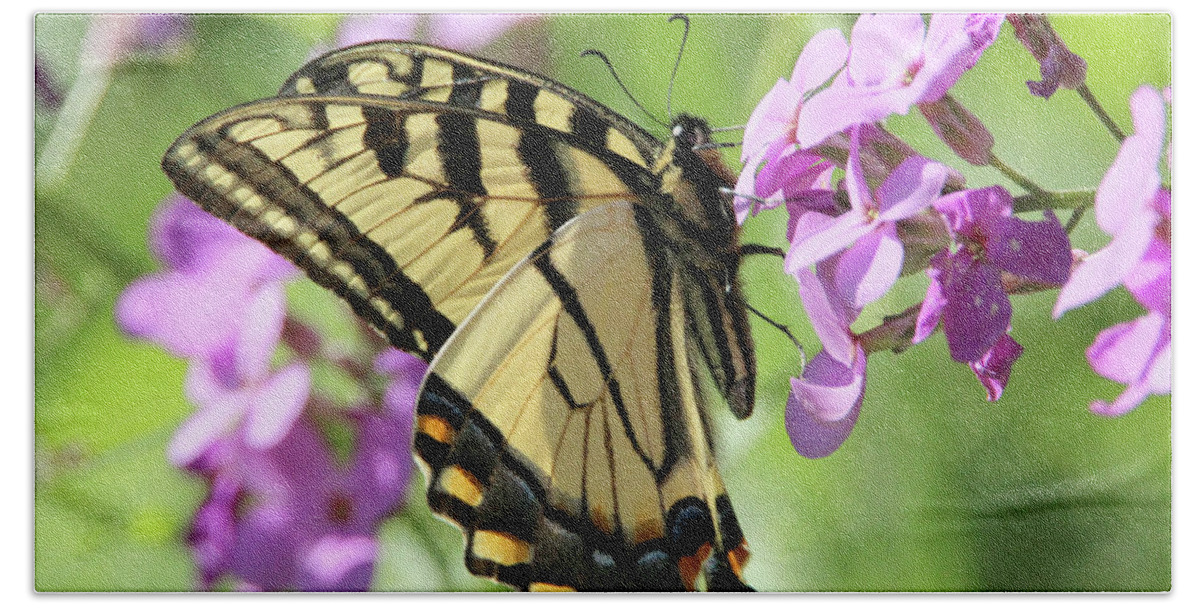 Nature Beach Sheet featuring the photograph Yellow Butterfly by David Stasiak