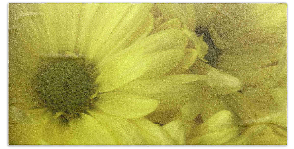 Daisy Beach Towel featuring the photograph Yellow Daisies by Marian Lonzetta