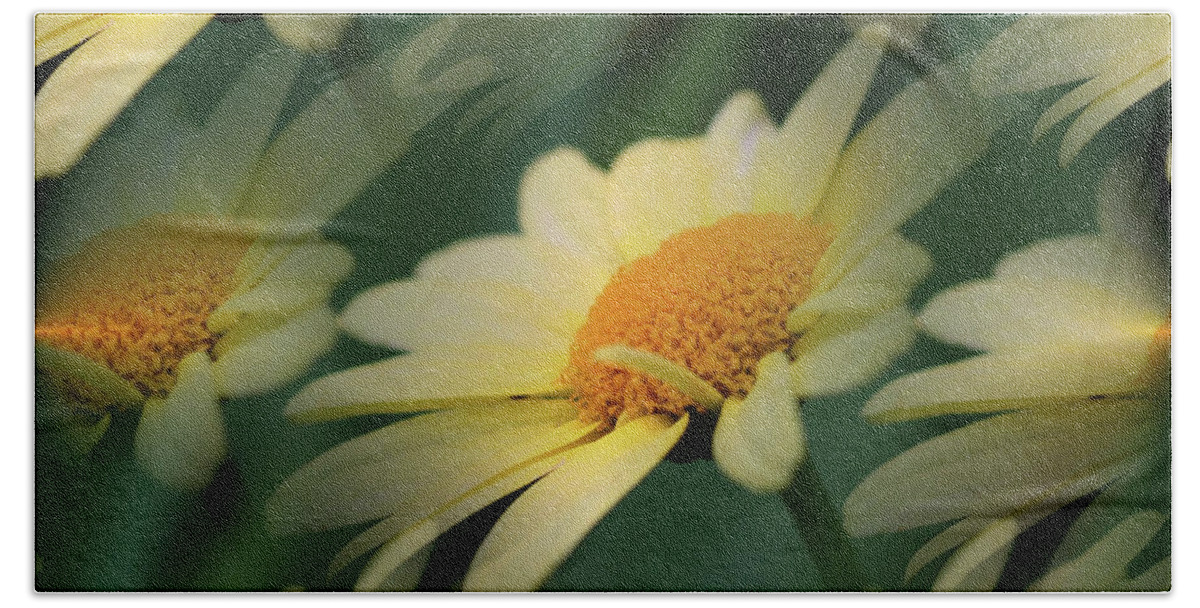 Daisy Beach Towel featuring the photograph Yellow Daisies by Smilin Eyes Treasures