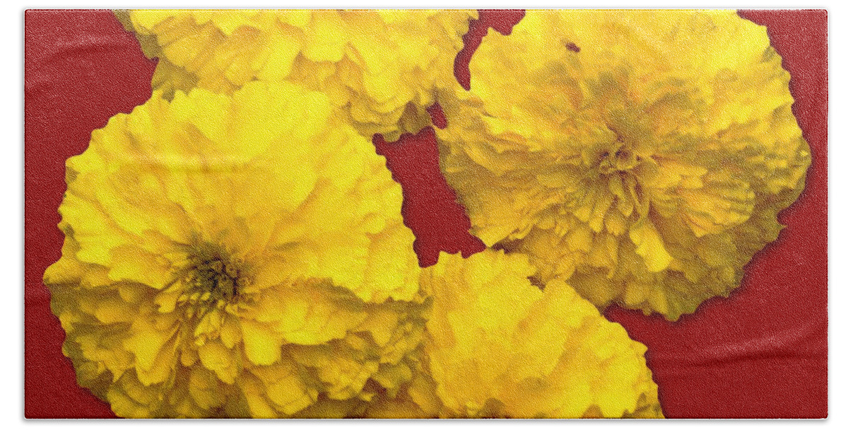Yellow Beach Towel featuring the photograph Yellow Flowers by Bob Slitzan