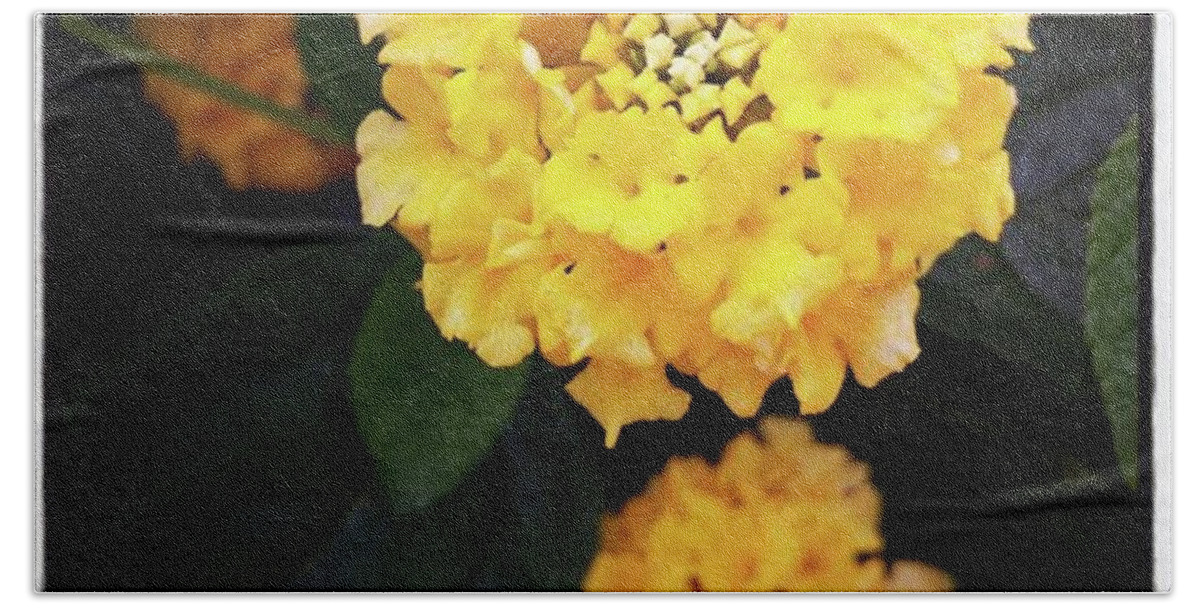 Beautifulvermont Beach Towel featuring the photograph Yellow Lantanas Along The Scenic Drive by Mr Photojimsf