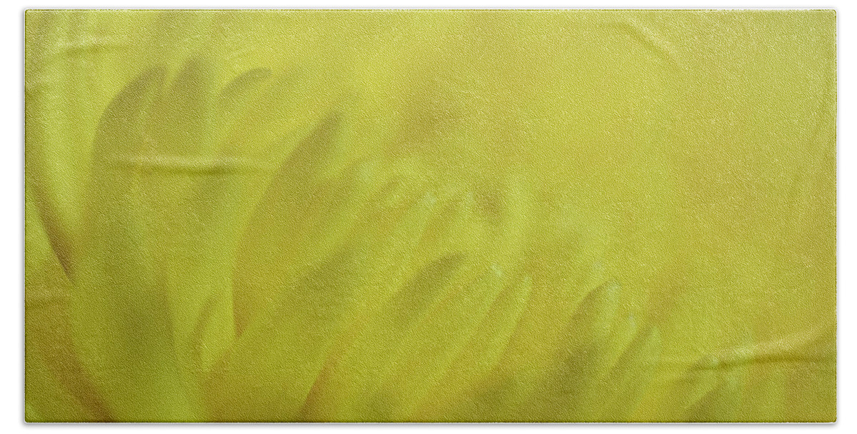 Photograph Beach Sheet featuring the photograph Yellow Mum Petals by Larah McElroy