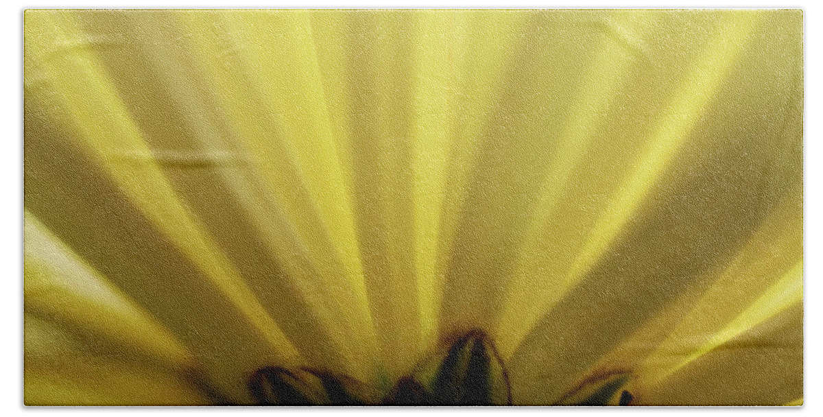 Photograph Beach Sheet featuring the photograph Yellow Mum Petals #10 by Larah McElroy