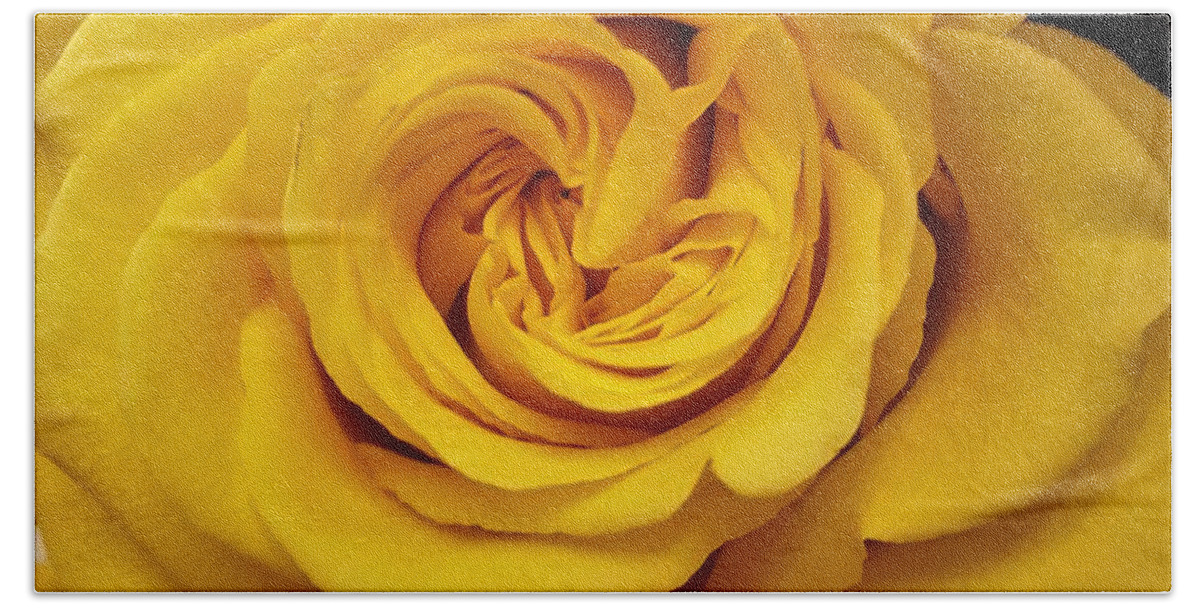 Rose Beach Sheet featuring the photograph Yellow Ochre Rose by Jim Harris