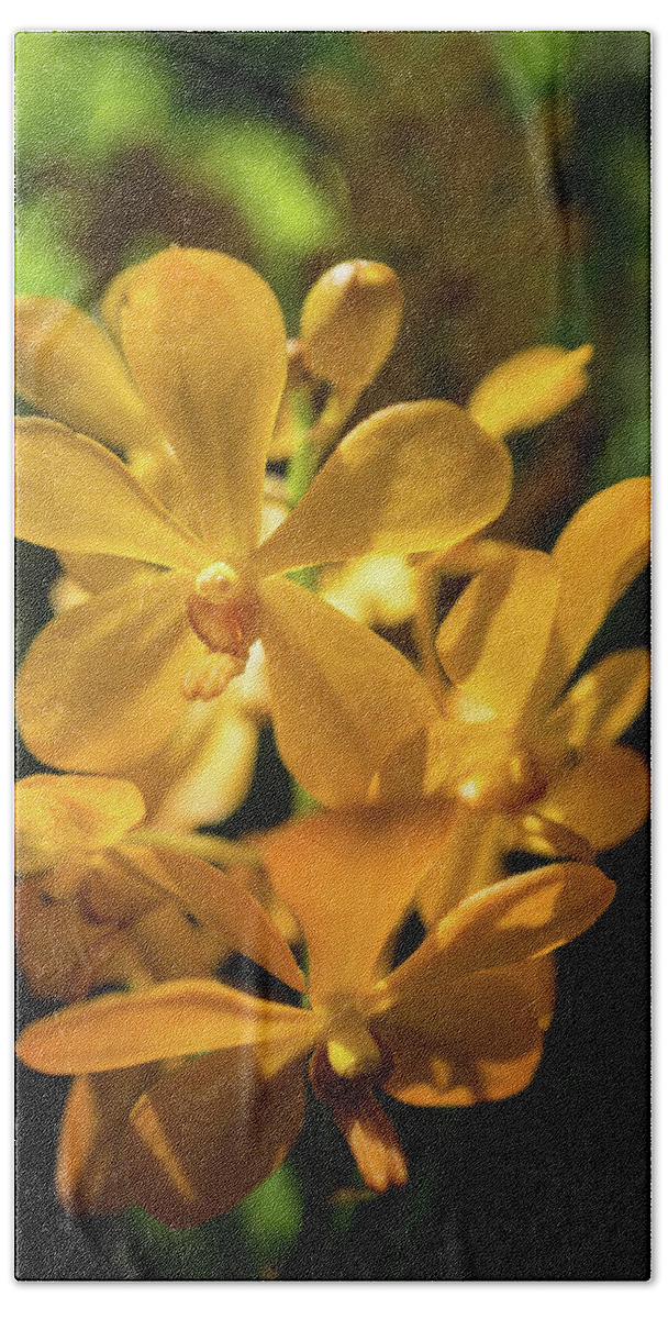 Singapore Beach Sheet featuring the photograph Yellow orchid by Jocelyn Kahawai