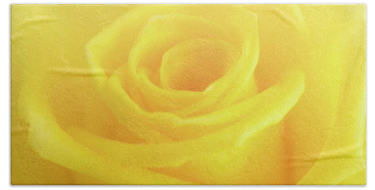 Yellow Rose Beach Towel featuring the photograph Yellow Rose by Andy Myatt