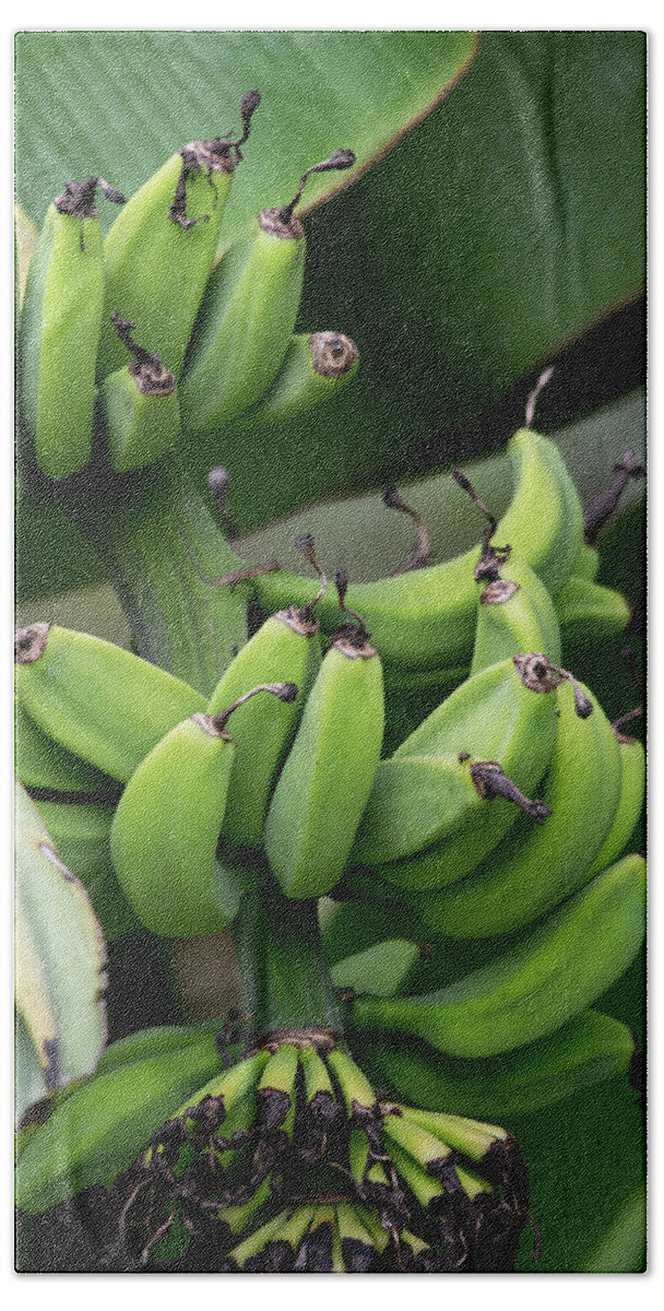 Banana Beach Sheet featuring the photograph Yes we have no bananas by John Black
