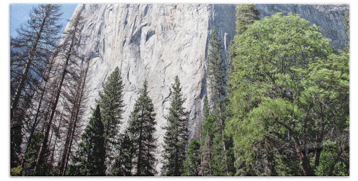 Yosemite Beach Sheet featuring the photograph Captain by Ryan Weddle