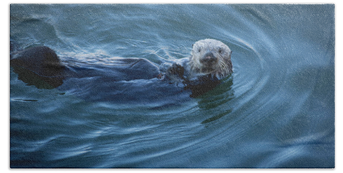 Otter Beach Sheet featuring the photograph You Otter take my picture, Lady by Lora Lee Chapman
