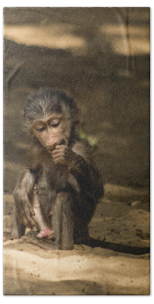 Animal Beach Towel featuring the photograph Young Monkey by Paulo Goncalves