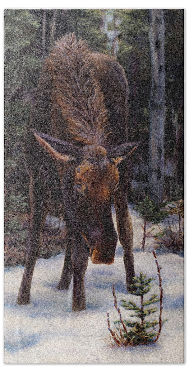 Alaskan Wildlife Beach Sheet featuring the painting Young Moose and Snowy Forest Springtime in Alaska Wildlife Home Decor Painting by K Whitworth