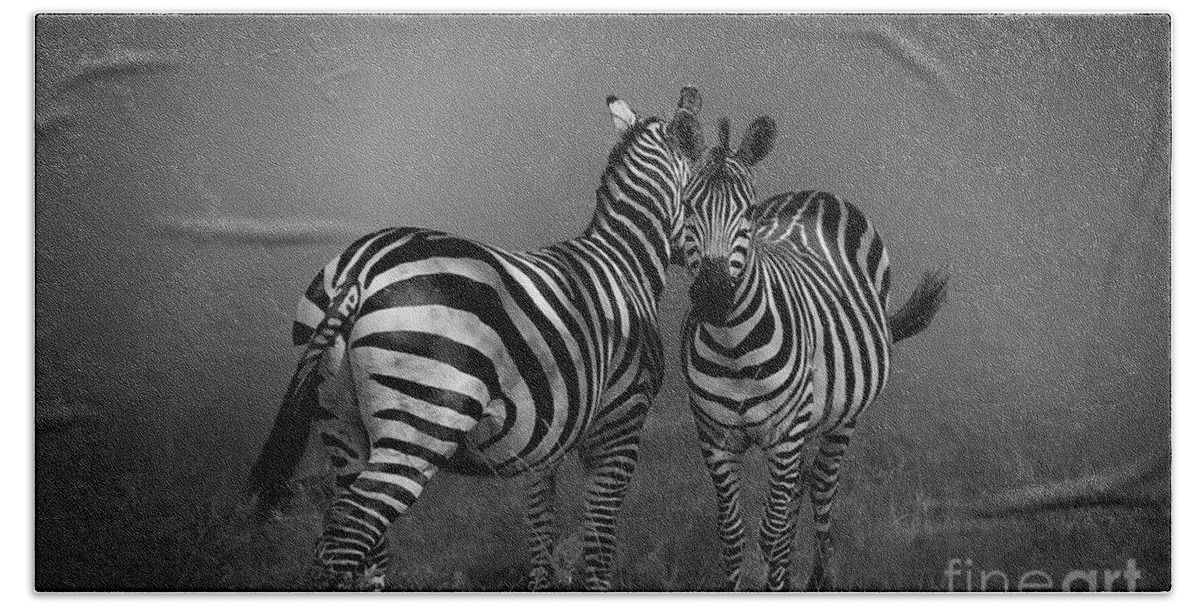 Animals Beach Towel featuring the photograph Zebra Gossip by Charuhas Images