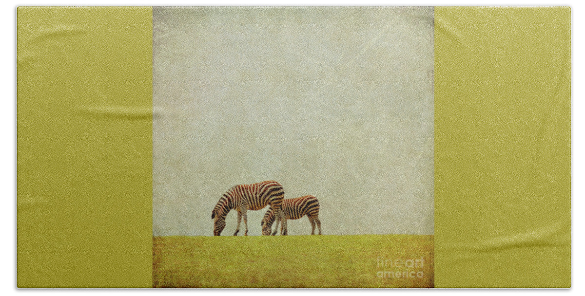 Zebras Beach Sheet featuring the photograph Zebra by Lyn Randle