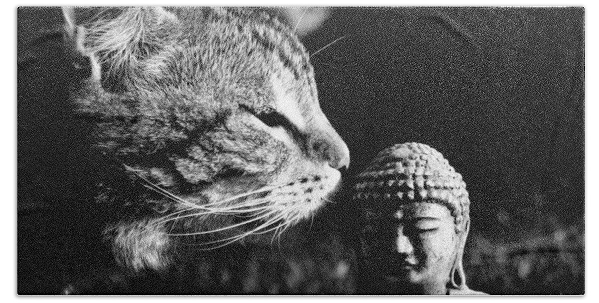 Cat Beach Towel featuring the photograph Zen Cat Black and White- Photography by Linda Woods by Linda Woods