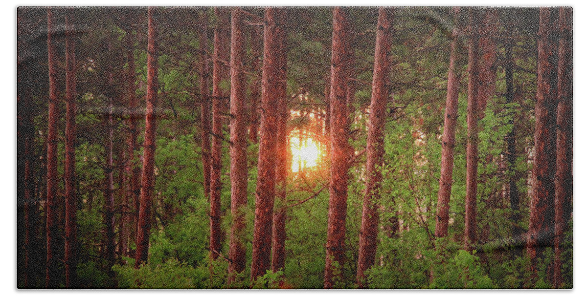 Woods Beach Sheet featuring the photograph 010 - Pine Sunset by David Ralph Johnson