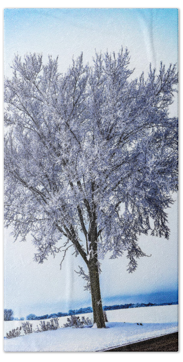 Frost Beach Sheet featuring the photograph 039 - Frosty Tree by David Ralph Johnson