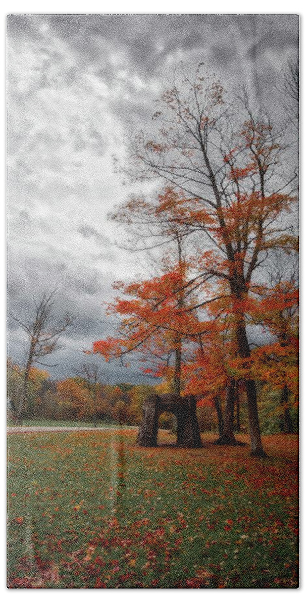 Chestnut Ridge County Park Beach Towel featuring the photograph An Autumn Day At Chestnut Ridge Park #1 by Guy Whiteley