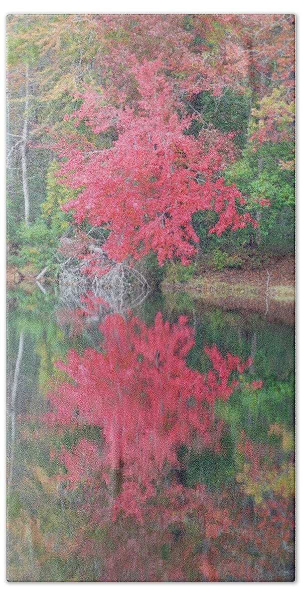 Pink Beach Sheet featuring the photograph Autumn Pink #1 by Matthew Seufer