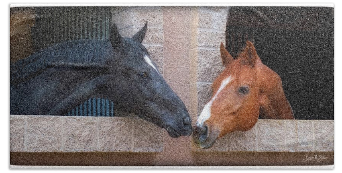 Horses Beach Towel featuring the photograph Best Friends #1 by Barbara Zahno