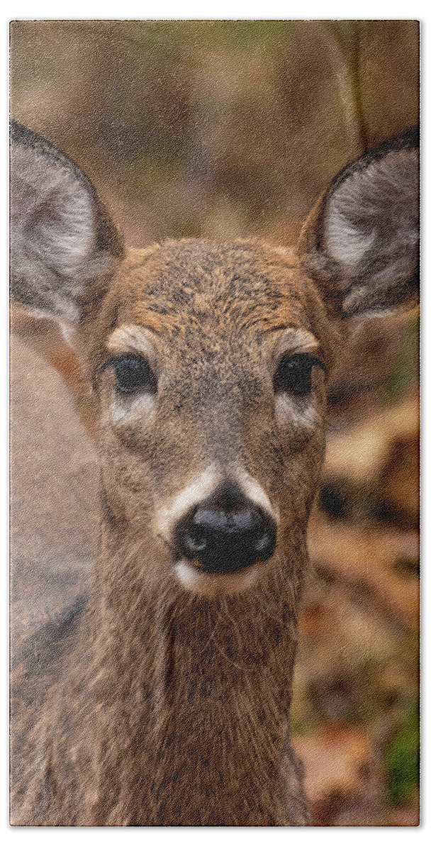 Nature Beach Towel featuring the photograph Doe a Deer #1 by Jody Partin