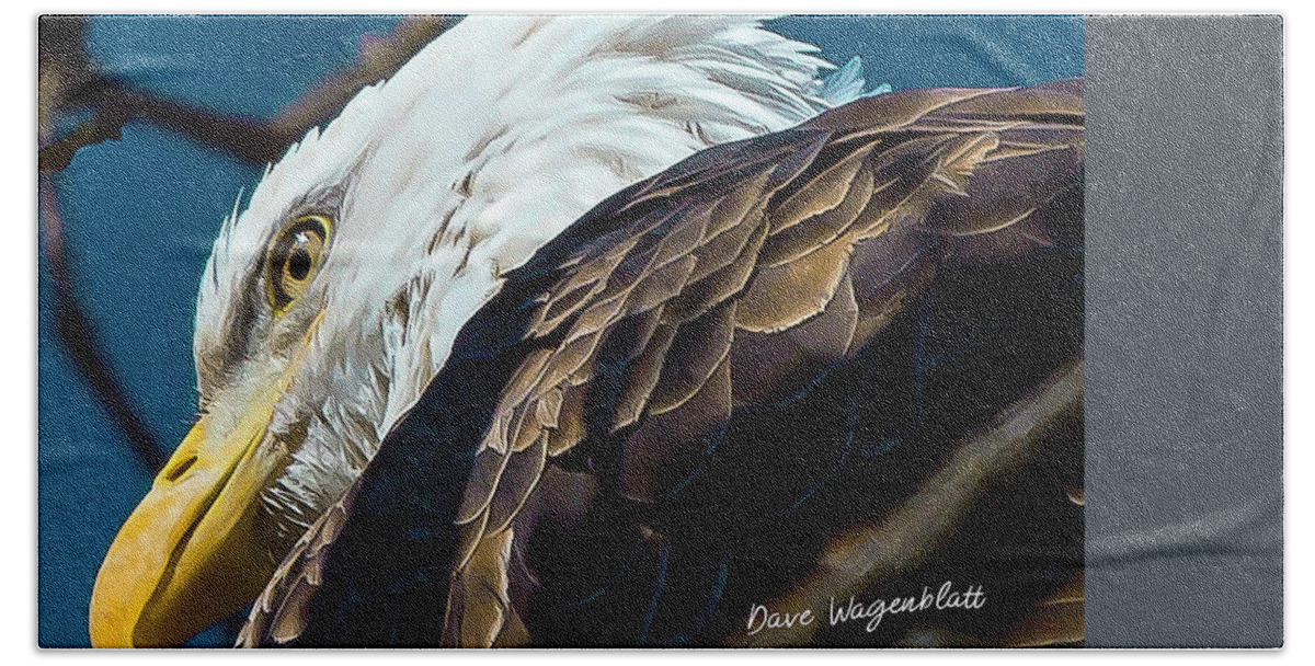 Eagle Beach Towel featuring the photograph Eagle #2 by David Wagenblatt