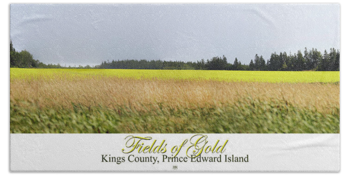 Field Beach Towel featuring the photograph Fields of Gold #1 by John Meader
